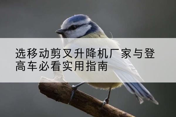 青云谱电动升降机厂家-选移动剪叉升降机厂家与登高车必看实用指南