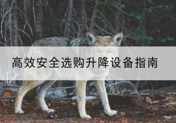 青云谱升降货梯厂家推荐-*安全选购升降设备指南