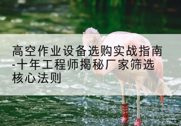 青云谱剪叉式升降机厂家-高空作业设备选购实战指南-十年工程师揭秘厂家筛选核心法则